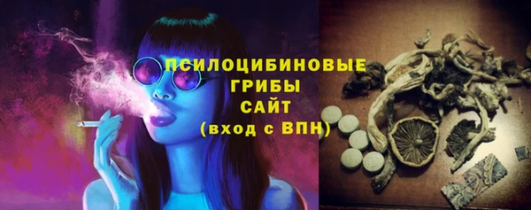 прущая мука Бородино