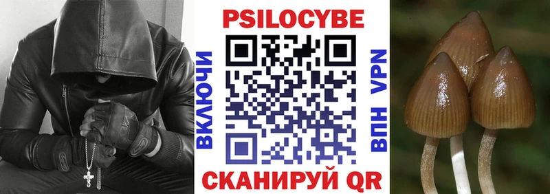 Купить где  Кимры  Галлюциногенные грибы Psilocybine cubensis 